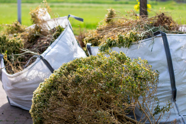 Best Basement Cleanout Services  in Carthage, IL